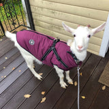 Waterproof Winter Coat With Harness Warm Clothing Jacket Chihuahua Labrador