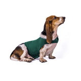 Anxiety Summer Medical Treatment Jacket Vest To Calm Down Pet