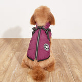 Pet Warm Cotton-Padded Fleece-lined Thickened Reflective Gallus