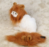 Funny Pet Hat Emulation Lion Hair Mane Ears Head Cap Scarf Halloween Festival Costume