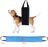 Pups Auxiliary Belt Picker