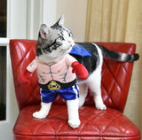 Cat Boxer Costume