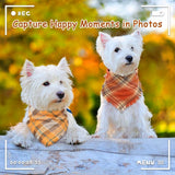 Pet Bandana With Tassels Edges Classic Plaid Triangle Scarf