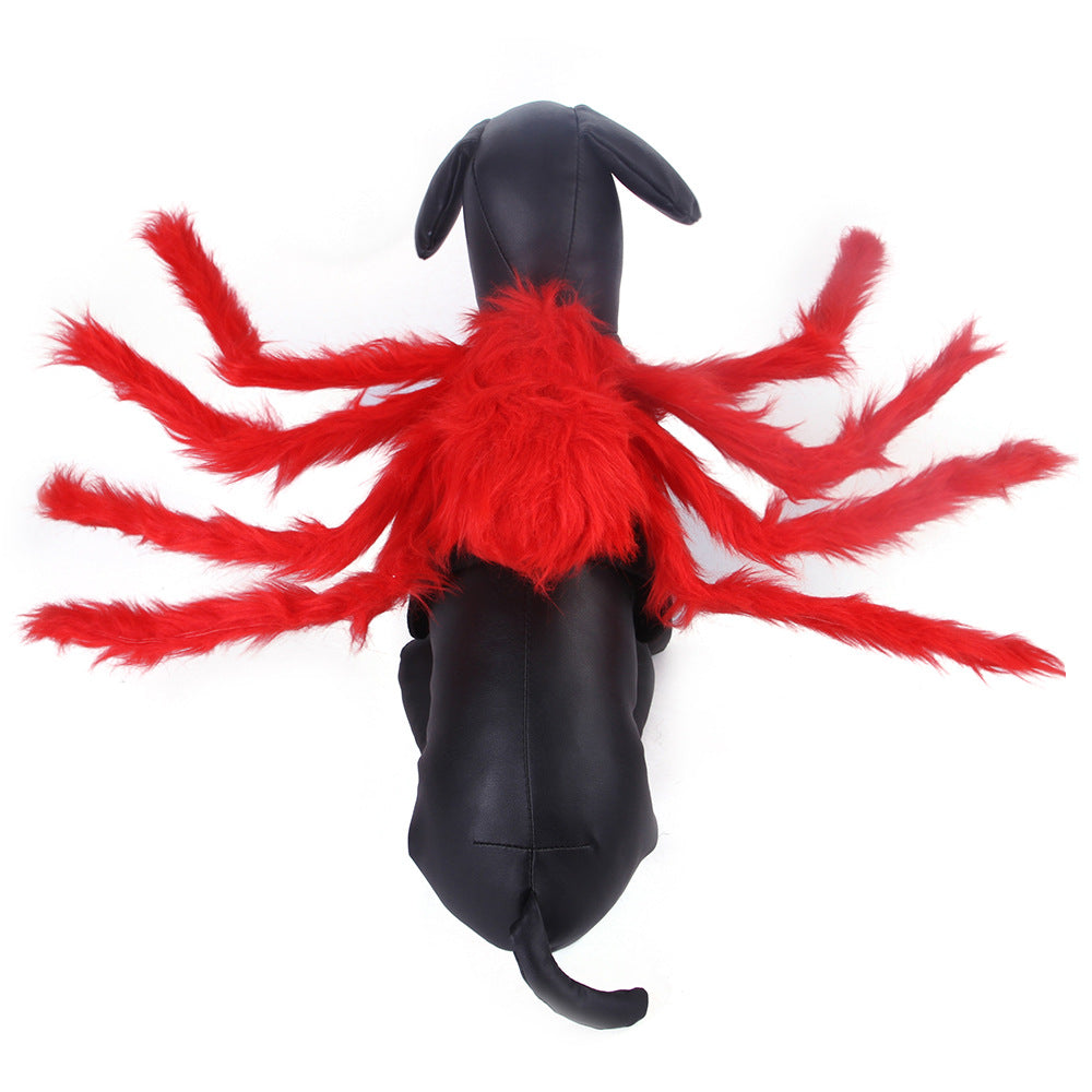 Pet Halloween Creative Spider Costume