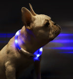 Pet LED Light Collar Anti-Lost Collar