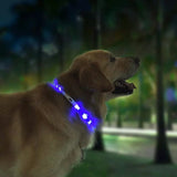 Pet LED Light Collar Anti-Lost Collar