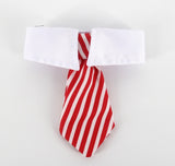 Pet Bow Tie Cartoon Print