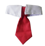 Pet Bow Tie Cartoon Print