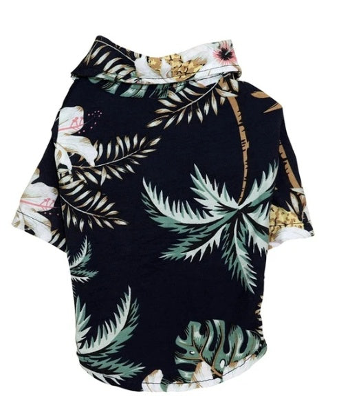 coconut-tree-blue