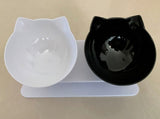 Inclined Food Cat Ear Oblique Mouth Transparent Single Pet Bowl