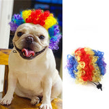 Pet Halloween Christmas Wig Hair