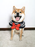 Graceful Pet Collar Scarf