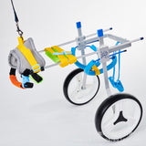 Scooter For Disabled Pets