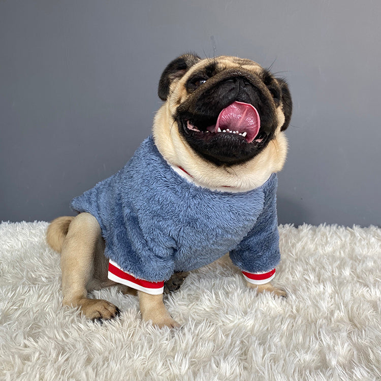 Pet Cotton Sweater