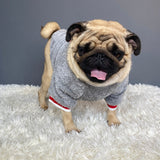 Pet Cotton Sweater