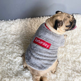 Pet Cotton Sweater