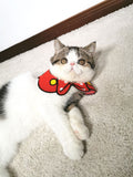 Graceful Pet Collar Scarf