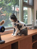 Pet Cotton Sweatshirt