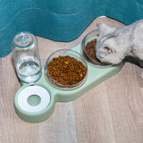 Automatic Double Feeder With Water Fountain Drinking Raised Stand
