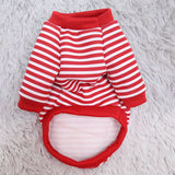 Cute Pet Sweater Spring Teddy Bear