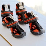 Printed Suede Cotton Dog Shoes