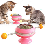 Rotatable Balls With Catnip Interactive Training For Cats
