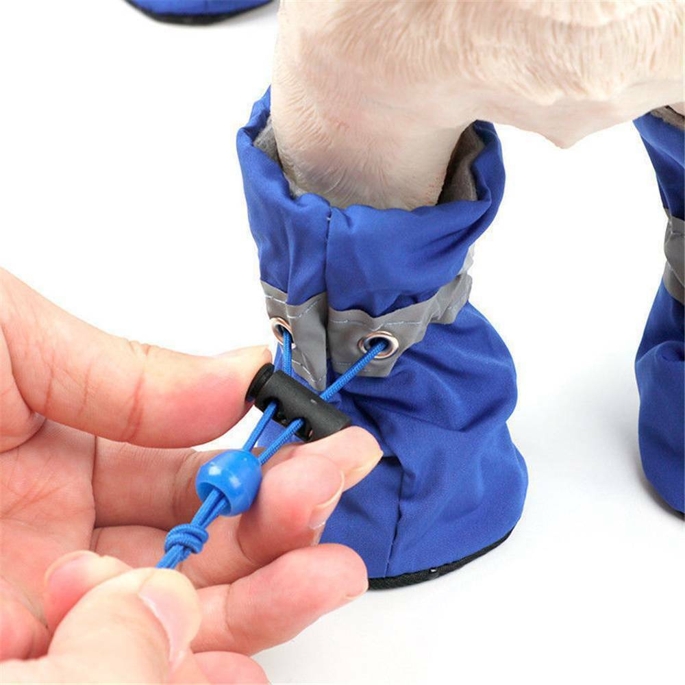 Pet Shoes And Socks Four Seasons Breathable Soft Bottom Non-Slip