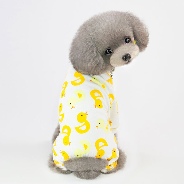 little-yellow-duck