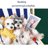 Pet Summer Thin Dress