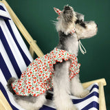 Pet Summer Thin Dress