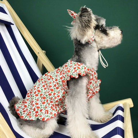 Pet Summer Thin Dress