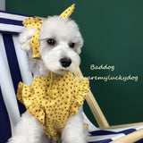 Pet Summer Thin Dress