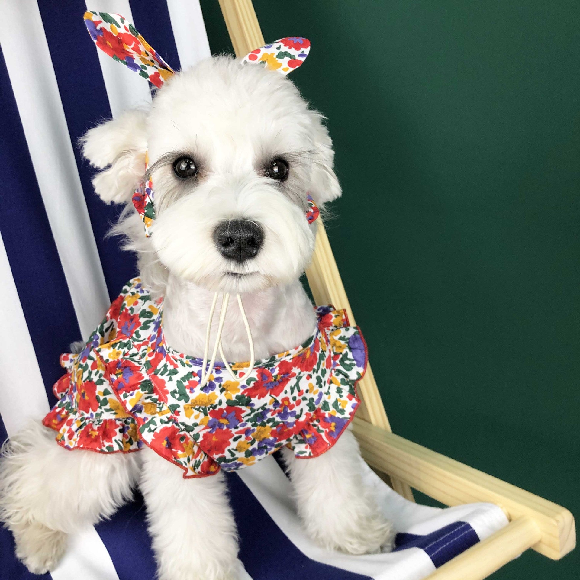 Pet Summer Thin Dress