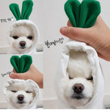 Fruit Dog Hoodie Winter Warm Fleece Coat