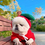 Fruit Dog Hoodie Winter Warm Fleece Coat