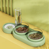 Automatic Double Feeder With Water Fountain Drinking Raised Stand