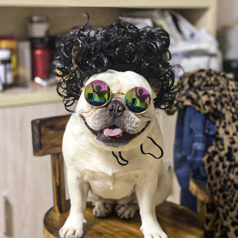 Pet Headdress Wig Sheath