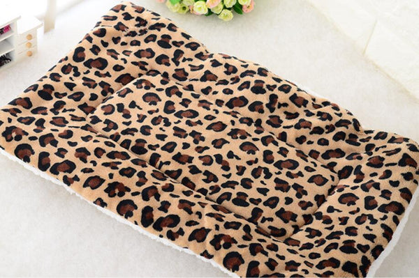 leopard