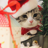 Pet Christmas Tiara