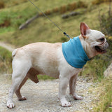 Instant Summer Cooling Bandana Scarf Towel Wrap Collar