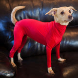 Pet Anxiety Jumpsuit Pajamas