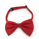 Puppy  Adjustable Bow Tie Neck Different Colors