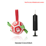 Soccer Ball Inflated Training For Dogs Outdoor Border Collie Ball