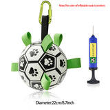 Soccer Ball Inflated Training For Dogs Outdoor Border Collie Ball