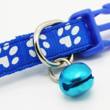 The Pet Bell Collar Band