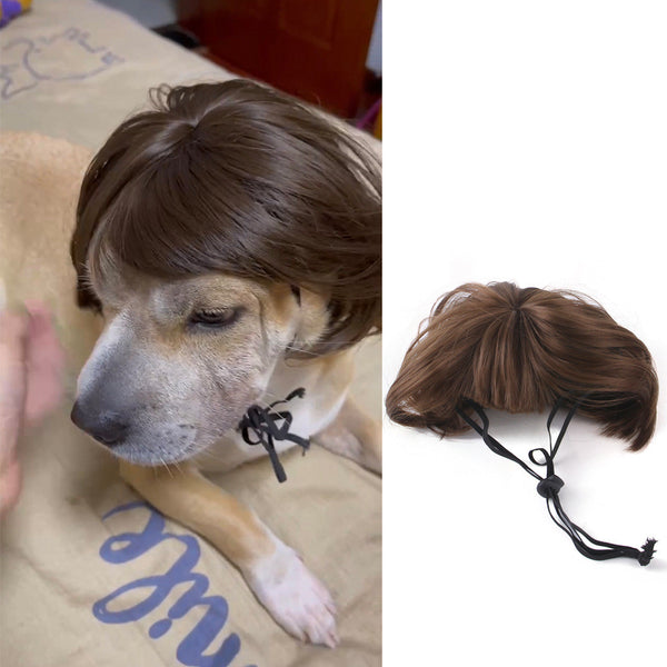 brown-short-hair