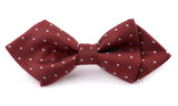 Dog British Bow Tie