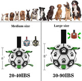 Soccer Ball Inflated Training For Dogs Outdoor Border Collie Ball