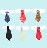 Pet Bow Tie Cartoon Print