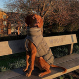 Pet Thickened Thermal Vest Cotton Coat